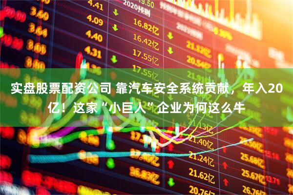 实盘股票配资公司 靠汽车安全系统贡献，年入20亿！这家“小巨人”企业为何这么牛